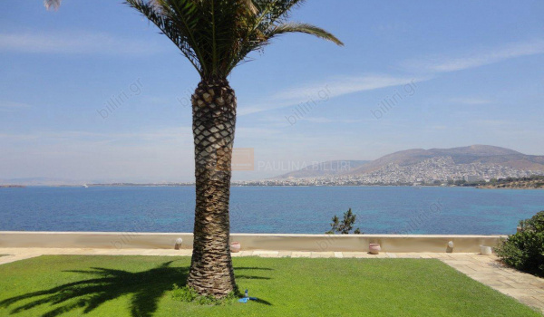 Κήπος